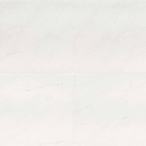 Msi Aria Ice 24 In. X 24 In. Polished Porcelain Floor And Wall Tile, 4PK ZOR-PT-0206